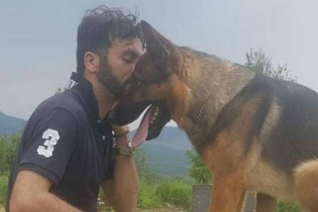Indignación en Italia por envenenamiento de perro rescatista