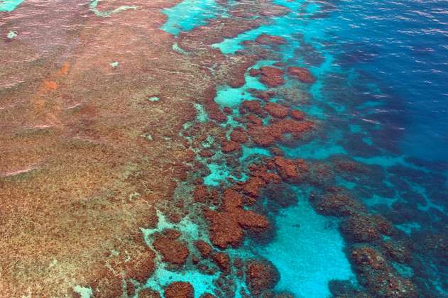 La Gran Barrera de Coral podría enfrentarse a otro gran blanqueamiento de corales