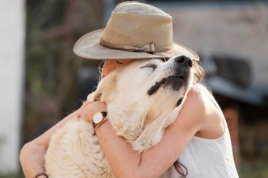 La conexión que hay entre humanos y perros se estrecha a medida que se pase tiempo juntos. Por ello, aparecen sentimientos que generan la necesidad de  protección.