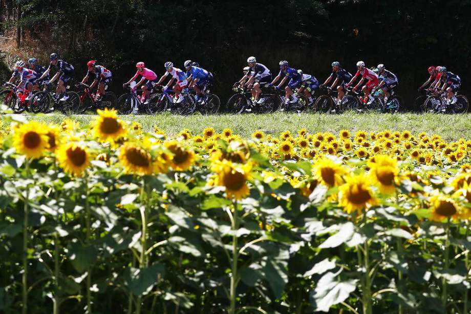 En total se corrieron 207 kilómetros en la etapa 19 del Tour de Francia.