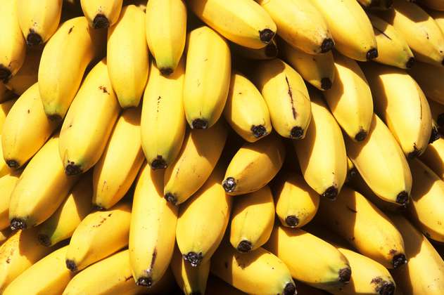 La exportación de banano del Magdalena: entre sobrecostos y retos logísticos