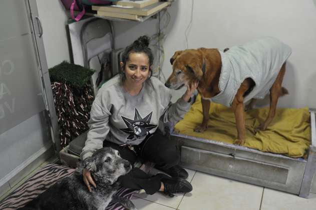 Las colombianas que dedican su vida a rescatar perros viejos que nadie quiere adoptar