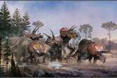 Los Triceratops,  populares por Jurassic Park, sí vivían en manadas