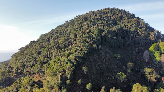 Minambiente prohíbe nuevas explotaciones mineras y de hidrocarburos en la Sierra Nevada
