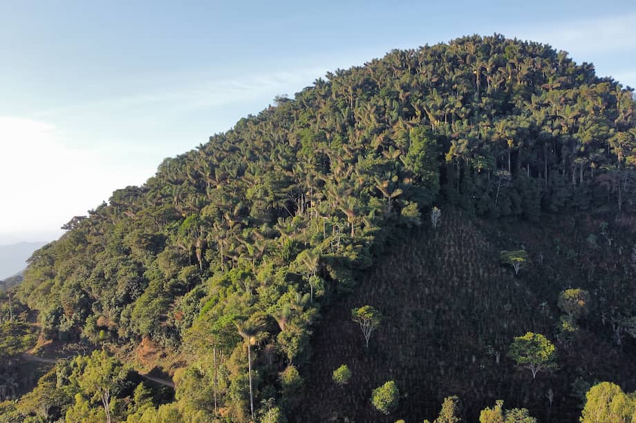 La sierra es la principal fuente de agua para los departamentos del César, La Guajira y Magdalena. De sus montañas nacen más de 10.000 millones de metros cúbicos de agua al año, es decir, 317 metros cúbicos por segundo.