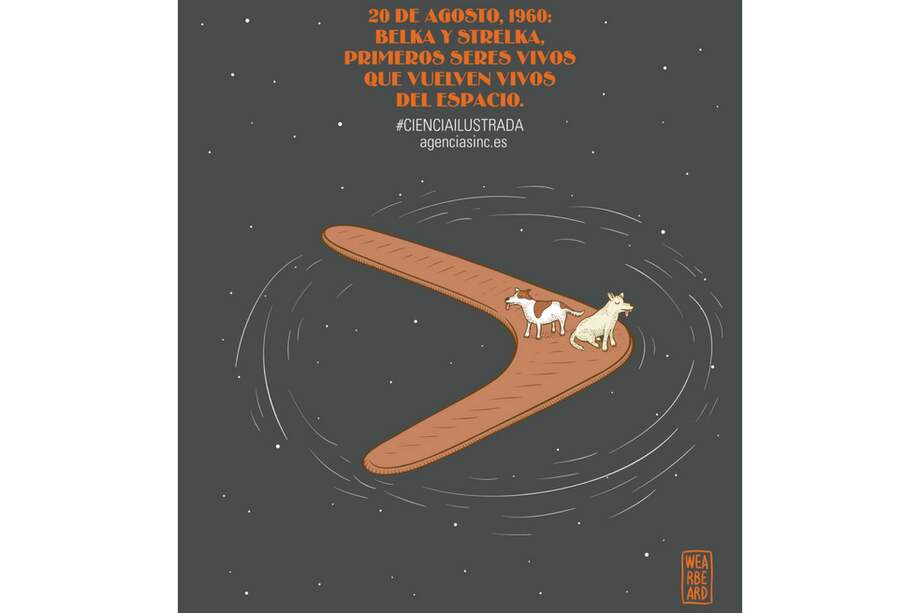 Tras pasar 26 horas paseando por el espacio, ambas perritas regresaron de su viaje por el espacio sideral.