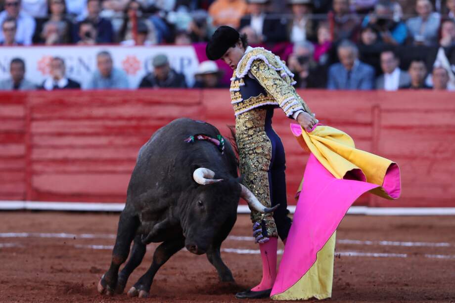 El proyecto busca avalar y regular las corridas y otras expresiones culturales con animales. EFE/Mario Guzmán