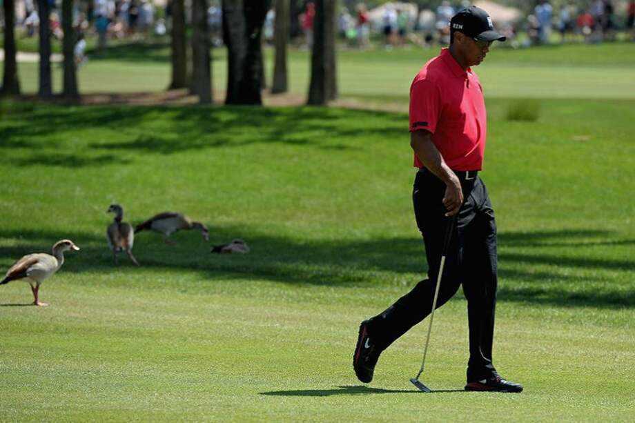 Tiger Woods, golfista norteamericano. Foto: AFP