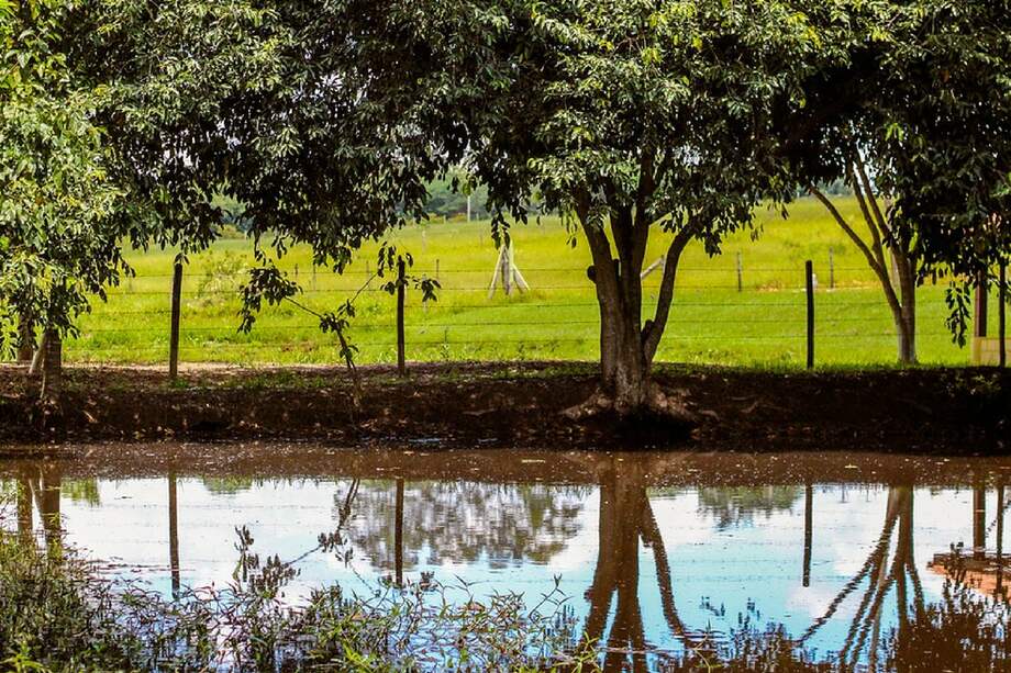 Ejemplos de sostenibilidad, aquella que busca un desarrollo urbano sostenible que no degrada el entorno y vela por la calidad de vida de los ciudadanos. / Pixabay