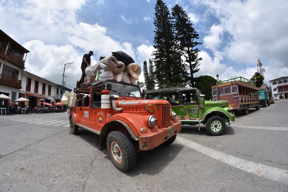 El recorrido ofrece paisajes naturales que anticipan lo que se encontrará en Samaná: un destino rodeado de verde, agua y tranquilidad.