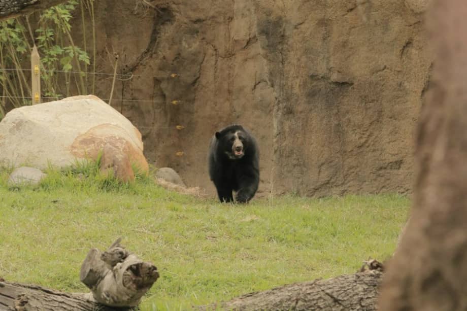 Fotografía parque natural Ukumarí.