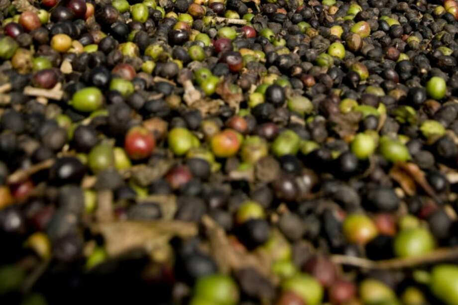 Café, soja y azúcar suben precios por sequías en Brasil