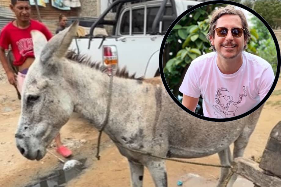 Ismael Rivera fue adoptado por Alejandro Riaño tras años siendo utilizado como animal de carga en La Guajira.
