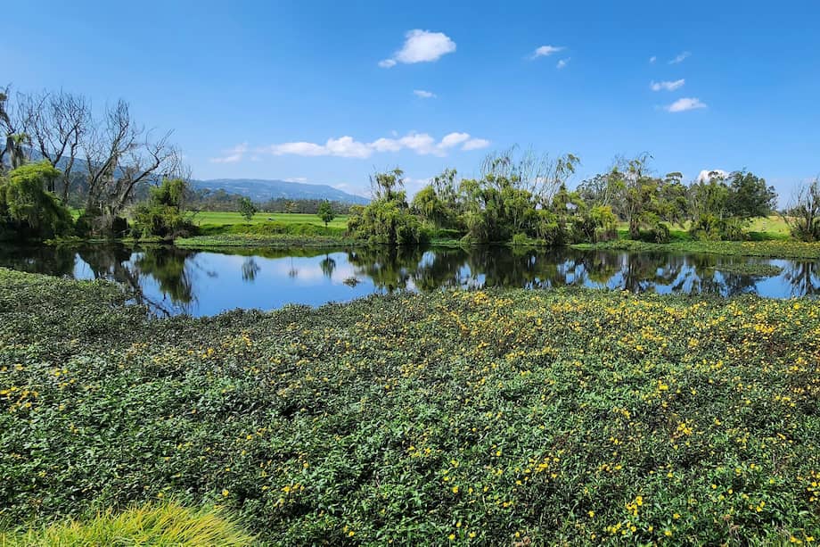 Cuenta con una inversión de más de 8.000 mil millones de pesos.