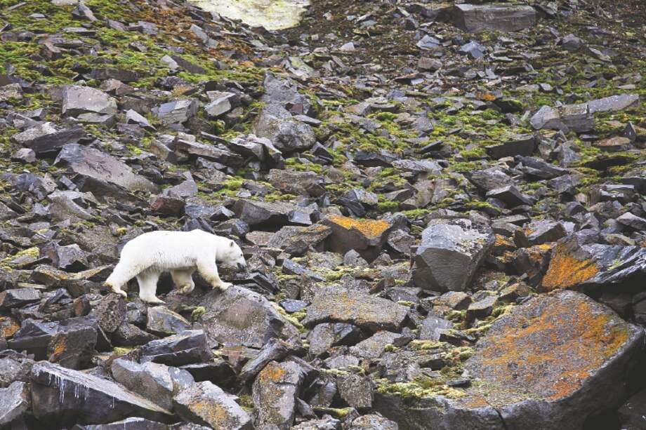 La temperatura media global ha incrementado un grado centigrado respecto a 1980 / iStock