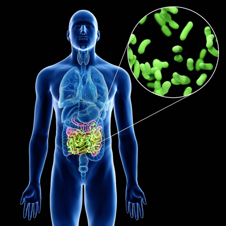 La salud empieza en el intestino: claves para fortalecer tu microbiota