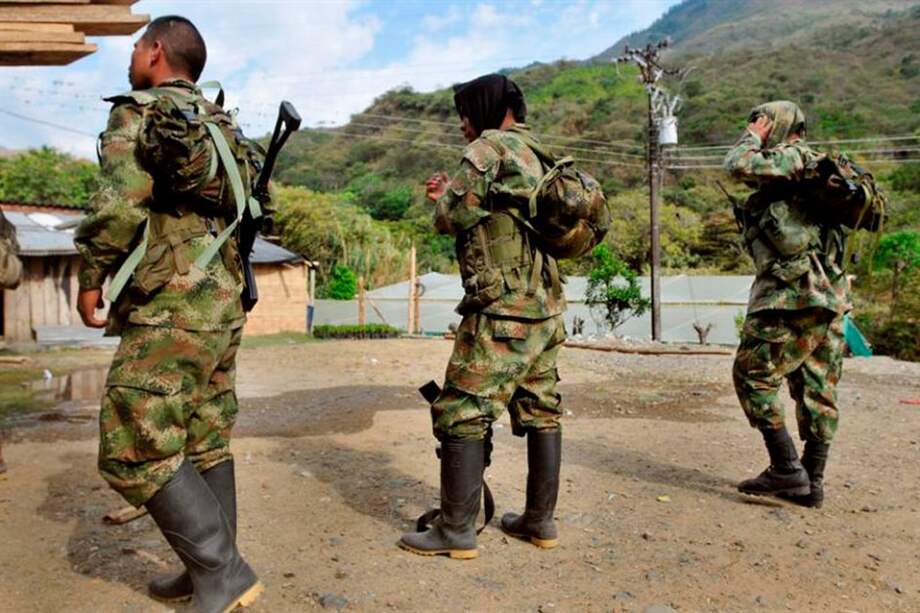 Farc ha perdido el 26% de su capacidad armada: FF.MM.