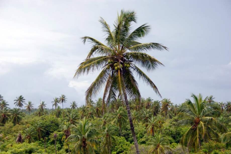 Universidad Nacional / Universidad Nacional