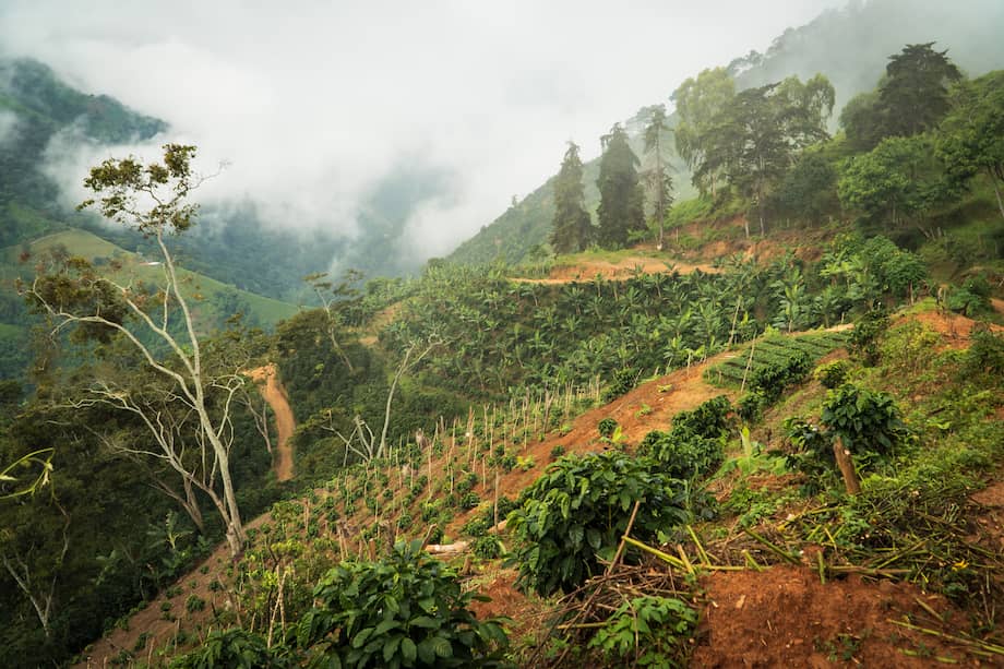 El Gobierno nacional está modificando las potestades de los municipios para definir sus planes de ordenamiento territorial.