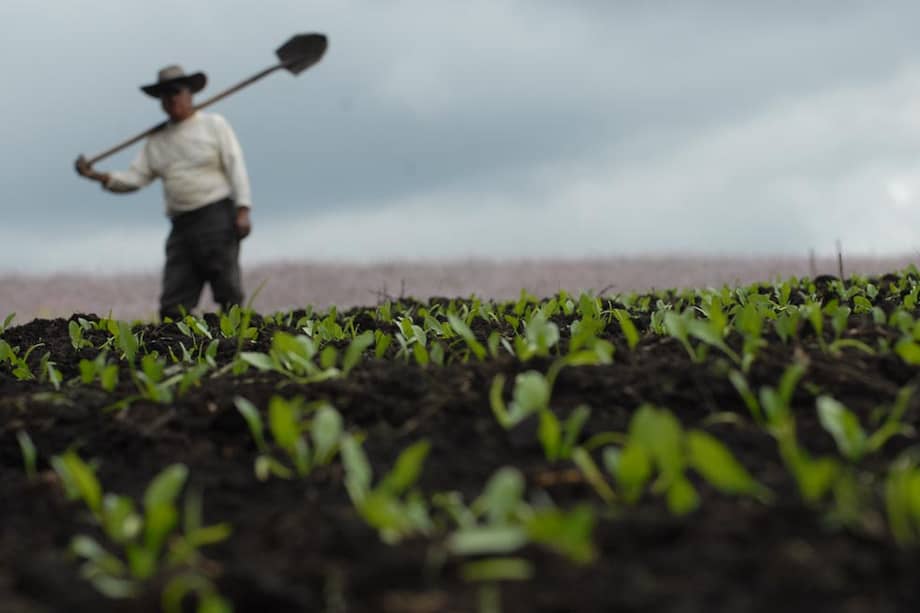 Archivo - David Campuzano