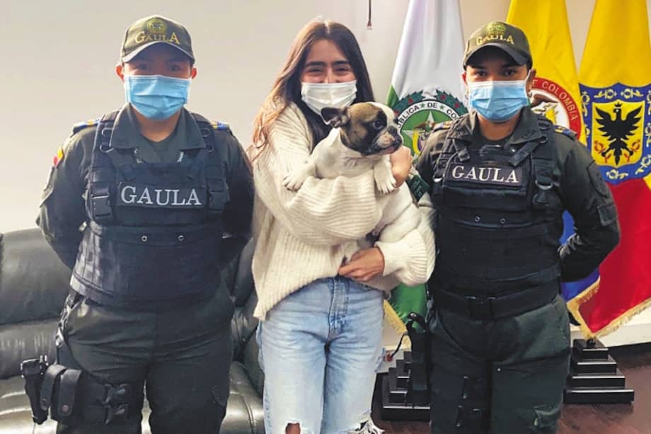 Sujetos armados asaltaron a Jhoana Jaramillo y le robaron su mascota Venus, en Chapinero Alto. Luego de que le entregaran el animal a las autoridades, volvió con su dueña. / Policía Nacional