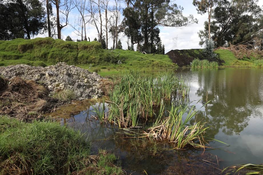 CAR suspendió a una empresa que disponía material sobre recursos ambientales, afectando cuencas y árboles.