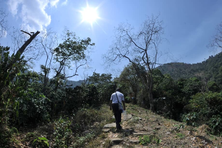 ¿Proyecto de ley de tierras contradice el Acuerdo de Paz?