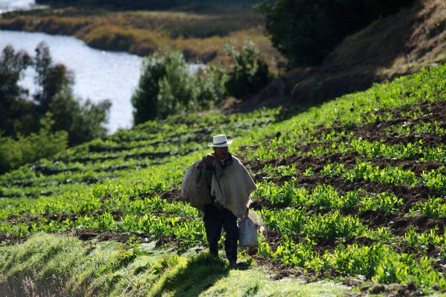 Los más vulnerables a la exposición del calor son las personas dedicadas a la agricultura, la minería y las canteras, la fabricación y la construcción. Esos sectores representan, además, el 73% de la producción de los países de bajos ingresos. / Archivo El Espectador