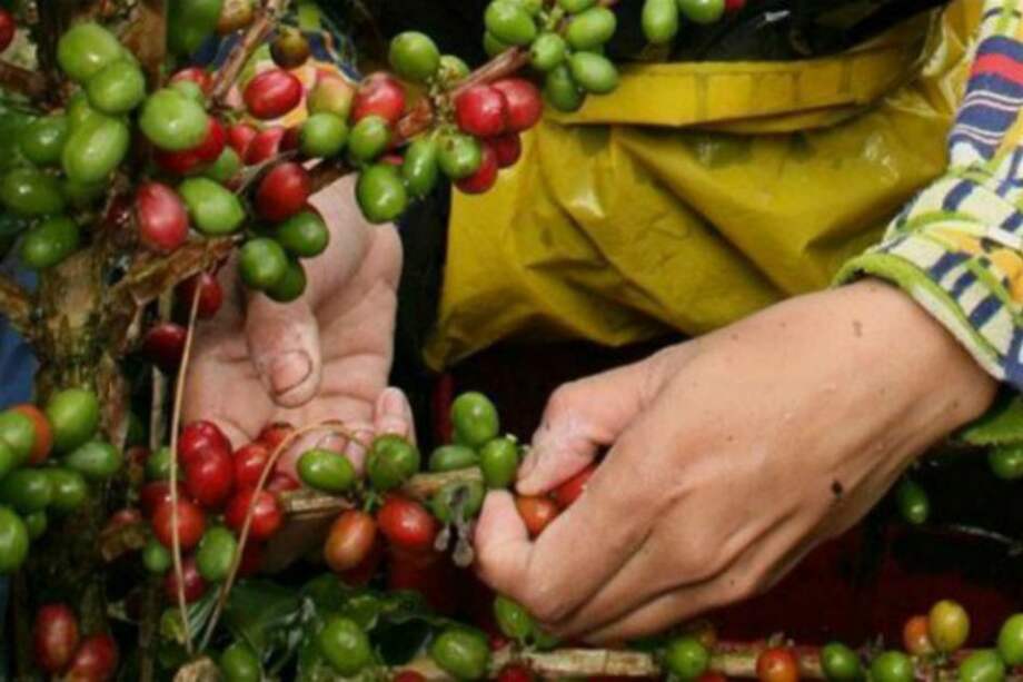 Negociaciones del paro cafetero se adelantan en dos mesas de trabajo