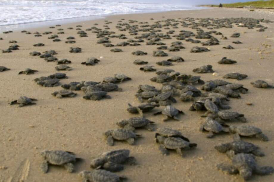 Archivo EFE / Archivo EFE