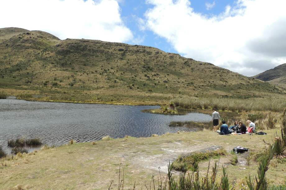 Daniela Quintero Díaz
