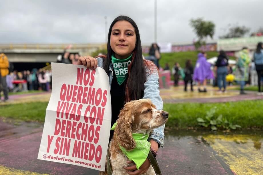 Marcha feminista 25 de noviembre.