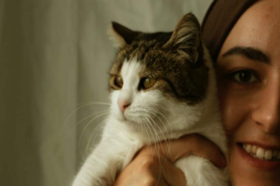 El ronroneo, el amasado o las lamidas son algunas señales de que su animal se siente cómodo.