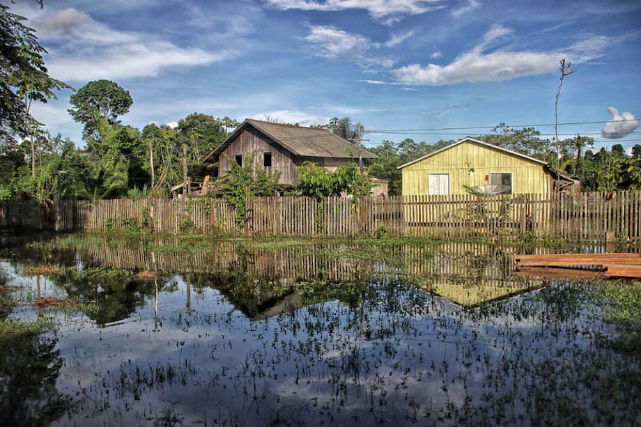 Agência Amazônia Real