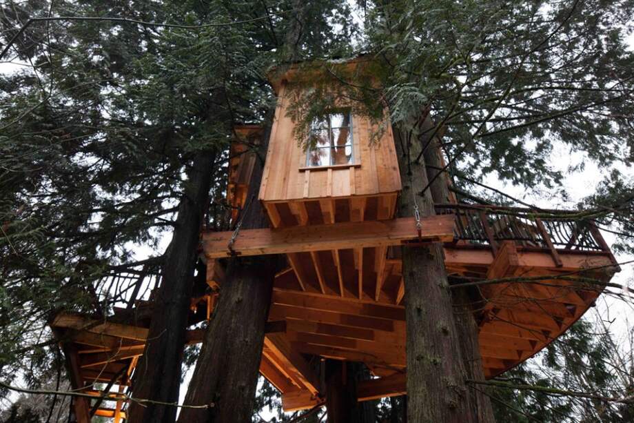 "Mansiones en los árboles".