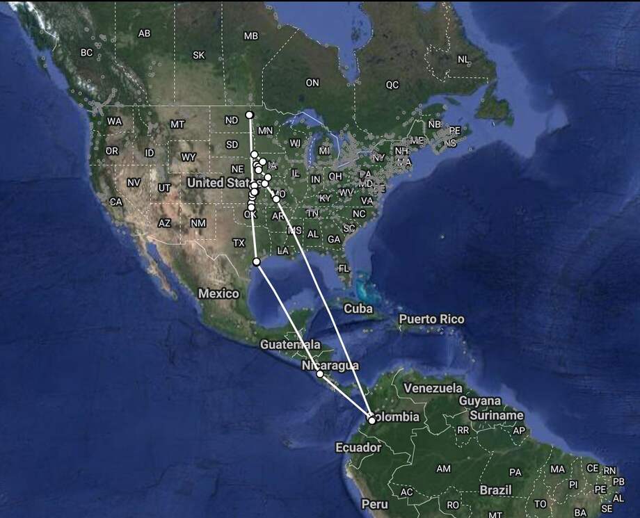 Las claves que nos dan las aves migratorias para proteger los ecosistemas