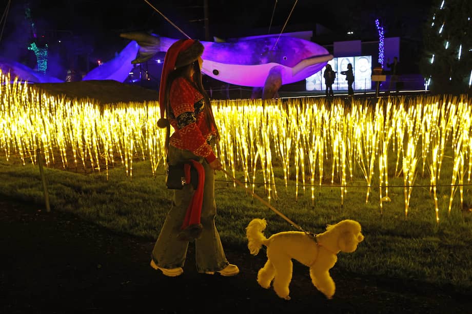 Municipios participantes:
Cajicá, Chía, Cogua, Cota, Gachancipá, Nemocón, Sopó, Tabio, Tenjo, Tocancipá y Zipaquirá.