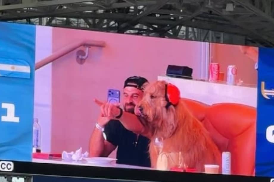 ¿Cómo entró a la cancha? La historia detrás del perro viral en el encuentro Argentina - Cabo Verde
