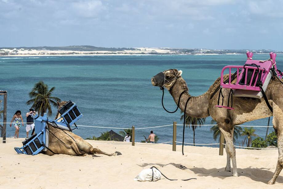 Natal, la ciudad del sol