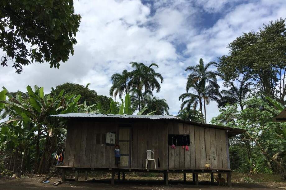 En el resguardo La Argelia, de la comunidad embera-chamí, los habitantes han manifestado su preocupación por el auge de bandas criminales. / Fotos: Marcela Osorio