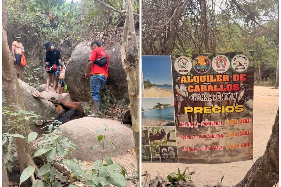 Visitantes cuestionaron el uso de caballos en rutas extremas.