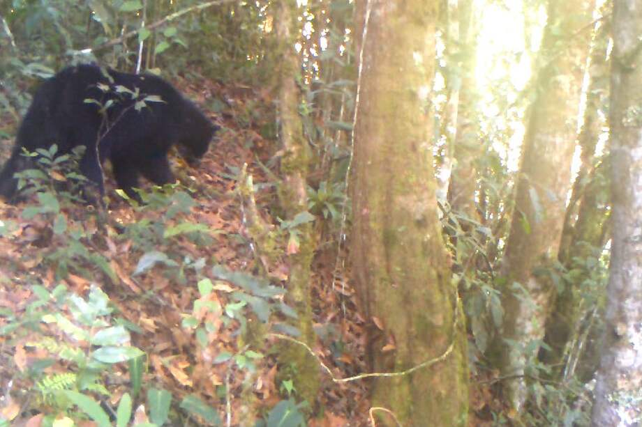 / Corporación Autónoma Regional del Alto Magdalena