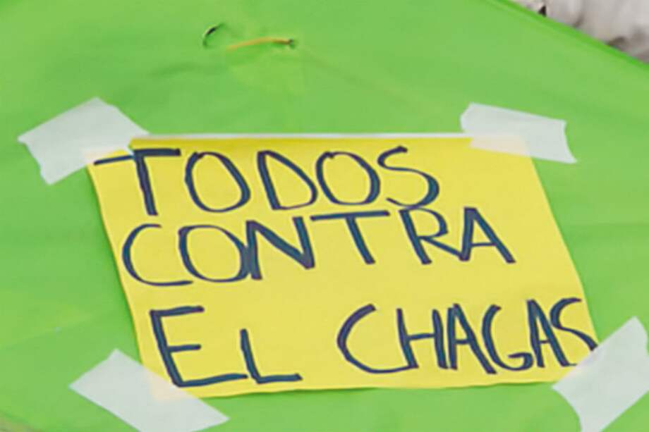 Los insectos triatomas (pitos) transmiten el parásito que provoca la enfermedad de Chagas.