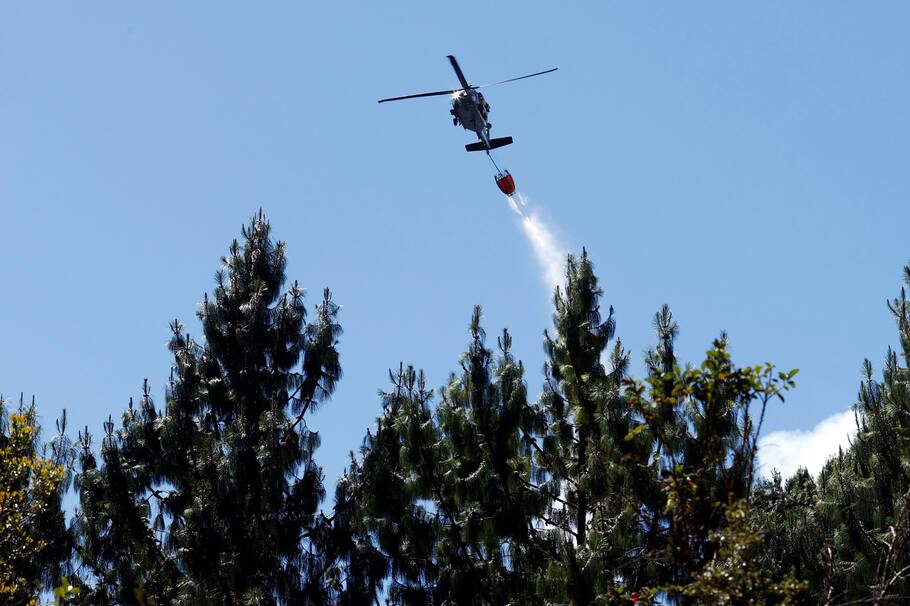 Si quieres ayudar a mitigar el impacto del incendio en los cerros orientales, las jornadas de riego son una respuesta positiva. Te contamos. EFE/ Mauricio Dueñas Castañeda