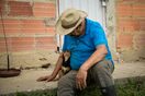 “Perra vida”: la serie que revela lo que los perros callan sobre Colombia