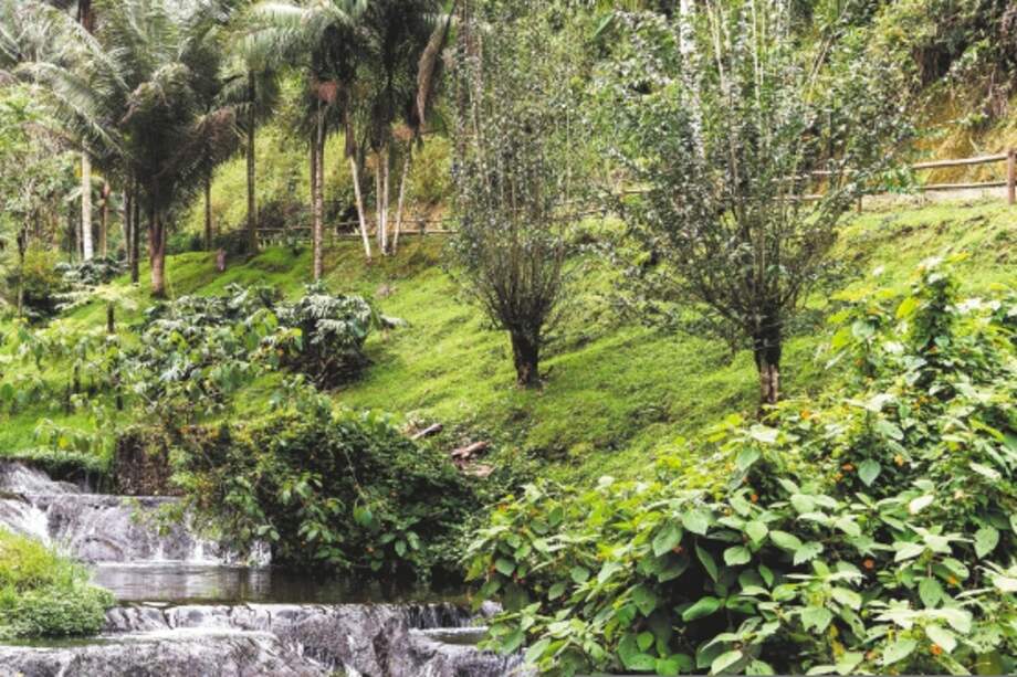 Natural Landscapes of Santa Rosa de Cabal in Risaralda, Colombia.