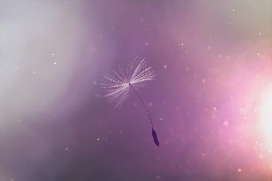 “La vida no es nada distinto a una opción de aire que se aprovecha o desecha"