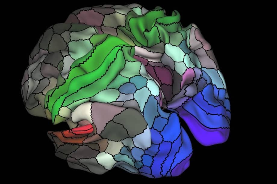 El mapa de 180 módulos, incluidas las áreas visuales (azul), auditivas (rojo), y táctiles/motoras (verde). / Matthew Glasser - David Van Essen