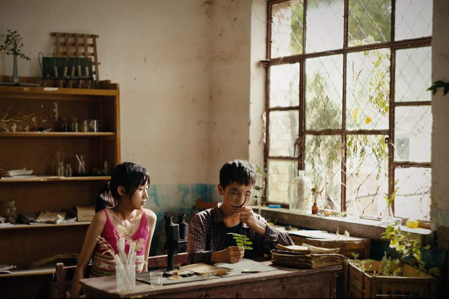 "The Botanist" es la ópera prima de Jing Yi.