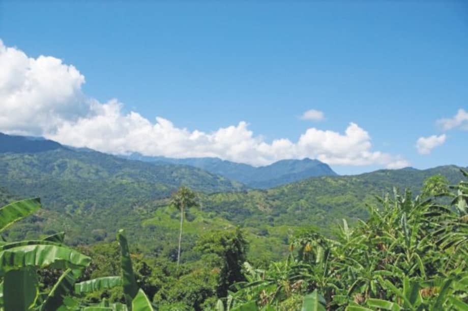 Ana María Aldana / Ana María Aldana
